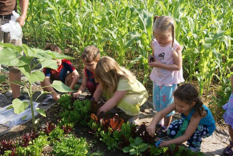 Image children working in a garden